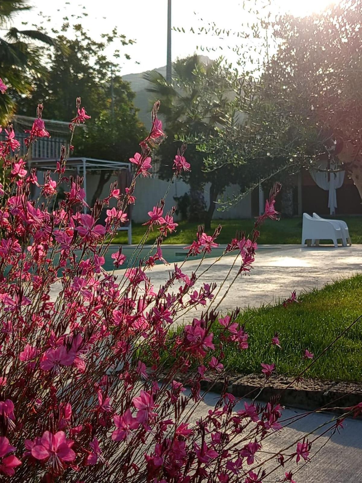 B&B Villa Limao Sarno Εξωτερικό φωτογραφία